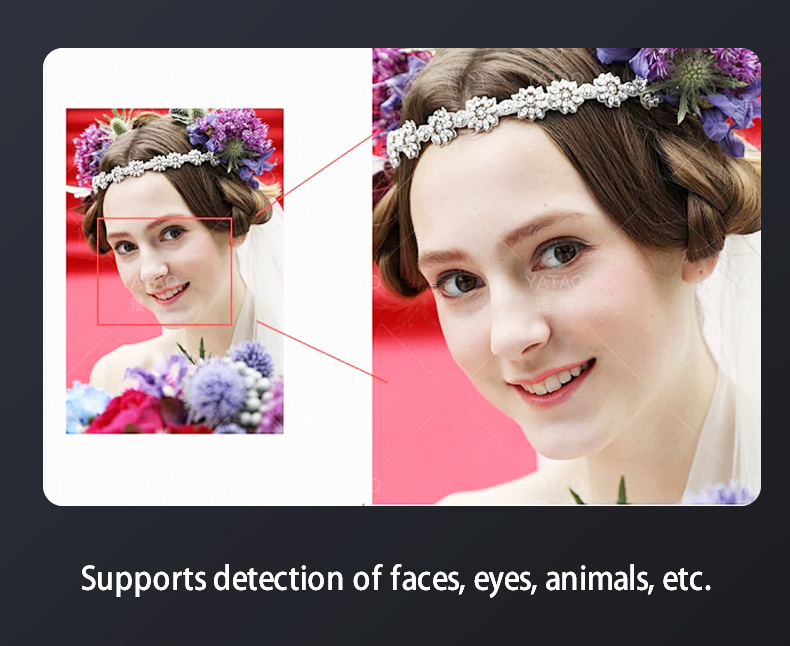 AF sensitivity